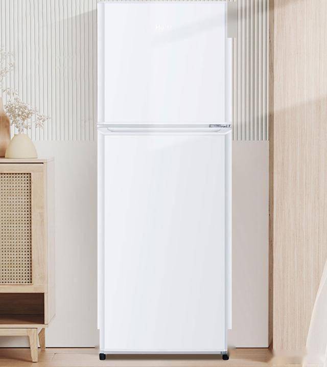 HTME0WT：849元145升双门节能冰箱long8登录节能新选择海尔BCD-145L(图4)