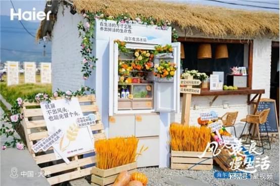 由！海尔麦浪冰箱太懂打工人终结采购奔波之苦实现囤货自(图2)
