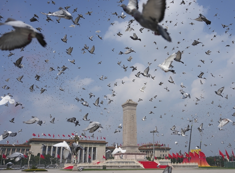 发展的时代启示习引领中国和平(图8)