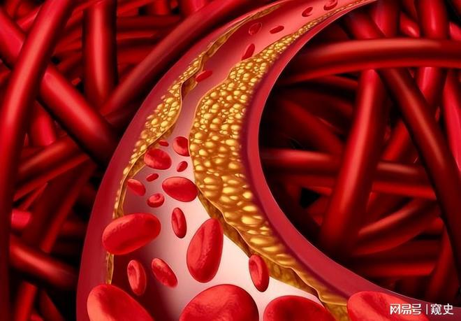 FGF21成跨国药企新战场52亿美元收购!脂肪肝药物(图2) FGF21成跨国药企新战场52亿美元收购!脂肪肝药物(图2)